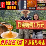 Farm Natural Loquat Honey Pure Loquat Honey Acacia Honey Honey Wolfberry Honey Loquat Honey