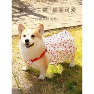 新品现货柯基柴犬比熊泰迪狗狗衣服春夏季薄公主吊带裙防掉毛防晒背心透气Corgi Chai Dog Bixie Teddy Dog Clothes Spring Summer20260414