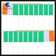 20pcs Handheld Ireland National Flags Patriotic Flags Mini Ireland National Flags  caisheng