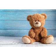 Bear Toy Soft Toy