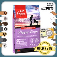 Orijen - 幼犬(大型犬)配方狗糧 (6公斤) 渴望Orijen Large Puppy 狗乾糧 幼犬糧 Exp:2027-02-05
