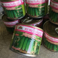 F1 Timun Baby Greenner 50gm