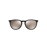 Kacamata Hitam Ray-Ban Erika Rb4171F