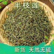 Half-stemmed Lotus Health Tea Chinese Tea Health Tea Chinese Tea