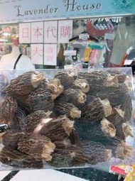 羊肚菌