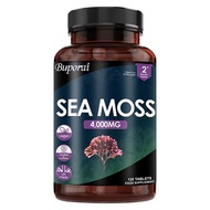Irish Sea Moss 6000 mg High Strength - Irish Sea Moss Supplement 120 Capsules High Potency - Made in
