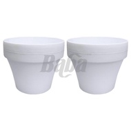 2pcs of Baba Diameter 16.3cm【FL160Biodegradable Flower Pot