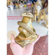 Feng Shui Bronze Gold Bar Rolling Snake Statue, Length 9cm, Height 14cm Weight 1kg - Snake Rolling G
