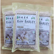 Gbt-pure NATURAL RAW BARLEY 500G PURE NATURAL Premium BARLEY