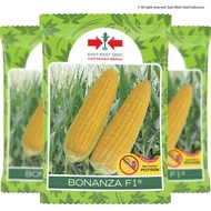 BENIH JAGUNG MANIS BONANZA | PREMIUM SEED