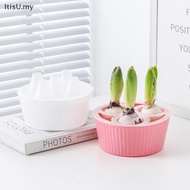 [ItisU] Hyacinth Tulip Seed Hydroponic Flowerpot 3/5Holes Pots For Plants Soilless Plant Pot Lazy Hy