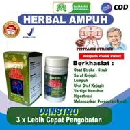 obat stroke ampuh obat stroke sebelah kiri obat stroke sebelah kanan obat stroke ampuh herbal Danstr
