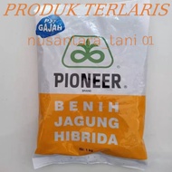 BENIH JAGUNG HIBRIDA PIONEER P27 GAJAH P27EXTRA GAJAH KEMASAN 1KG ORIGINAL