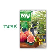 MY POTENTIAL BUSINESS: FIG FRUIT BUSINESS PROSPECTS