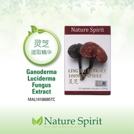 1 box Nature Spirit Ling Zhi Extract