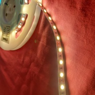 LED STRIPE 5050 IP33 YIMAI