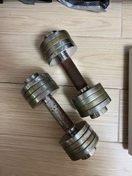 電鍍啞鈴（5kg * 2)