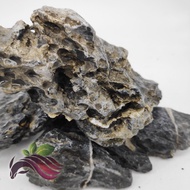 Scenery rock for aquascape, terrarium, bonsai - 1kg by LS Group