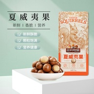 三只松鼠夏威夷果100g鲜香休闲奶油味开口坚果零食每日坚果小吃