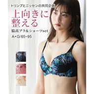 [Direct Form Japan] Nissen_  Side High Embroidery Lace Bra and Panties Set (Cosmos) (Triumph)