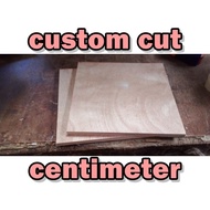 CUSTOM CUT cm centimeter marine plywood ordinary plyboard pre cut custom cut