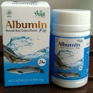 kapsul albumin ikan gabus