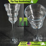H40CM GLASS VASE 8011 CONTAINER FLOWER DECORATION FOR GROWING AQUATIC PLANTS PASU BUNGA KACA