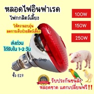 ไฟกกหมู  ไฟกกความร้อน ให้ความอบอุ่นสัตว์เลี้ยงไฟกกสัตว์เลี้ยง กกลูกไก่ กกนก หลอดไฟอินฟาเรด แบบหนา