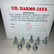 Sekrup Galvalum Kanal C Truss / SDS / Drilling Screw 12 x 20 / 2cm