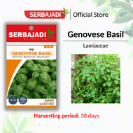 Serbajadi Herb Genovese Basil | Aroma Leaf | Fragrant Leaf | Garnish Leaf | Ocimum Basilicum - Sweet Basil | 1g (+/- 25)