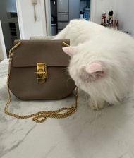 Chloe Drew bag 小豬包
