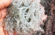 【澎湖海鮮直送 鮮甜生吻魚1盒 (200g/盒)】數量極少的吻仔魚 自家船隊捕撈就是鮮