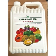 EXTRA PHOS 500 [ 5L ] [  Phosphorus Acid ] [ 益农亚磷酸钾 ]