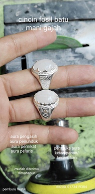 cincin fosil batu mani gajah asli bergerak