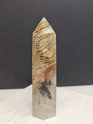 巴西白幽靈柱 帶黑髮 千層幽靈 千層白幽靈