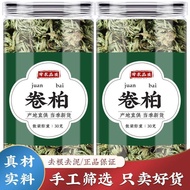 Cypress Resurrection Grass in the Grass Cypress Grass Cypress Grass Cypress Nine Death Resurrection 