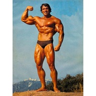 Arnold Schwarzenegger Bodybuilder Olympia Universe Conquer Classical Sport Poster Home Deco 0508