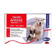 ANTINOL RAPID 犬用青口油精華 (關節補充) 60膠囊