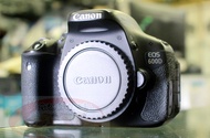 Canon 佳能 EOS 600D 數位單眼相機，輕鬆捕捉生活每個精彩瞬間 
