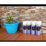 PUTIH UNGU Hb Vskin super purple white lid ORI 1000%