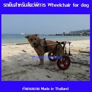 wheelchair4dog รถเข็นสำหรับสัตว์พิการแบบ 2 ล้อ dog wheelchairล้อเลื่อนสำหรับสุนัขพิการ หรือสัตว์ที่มีอาการอัมพฤกษ์ อายุมาก อ่อนแรง(ทักแชทร้านค้า))