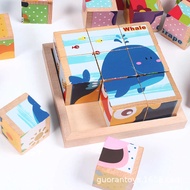 Puzzle Intelligence Large Piece Wooden Building Block Toys 9 Pieces Puzzle Six-Sided Painting 3d Thr