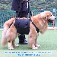 Hot-selling Dog Strap Outdoor Dog Strap Dog Strap Supplies Wholesale