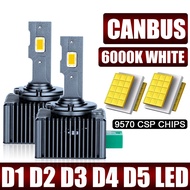 Thailand 24 Hours Car LED Headlight Without Error canbus Model D1S D2S D3S D4s And D5s Bulb 6000K