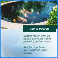 ♈ ♀ ◑ ITALY JET PUMP Water Booster Pump 1HP 1.5HP jetmatic Jet Pump JETFLO Italy