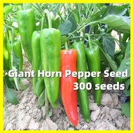 Giant Horn Pepper Seed - 300 Seeds Heirloom Pepper Seeds Self Harvest Organic Vegetable Seeds Easy T