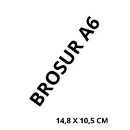 PRINT A6 BROCHURE AP PAPER 120 GSM 100pcs