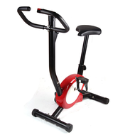 Stationary BIke (Red)