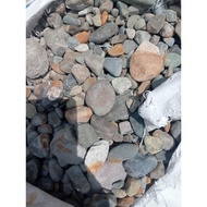 Coral Stone/ Garden Stone/ Decorative Stone 1Kg