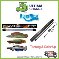 Aquanice Neo-Helios Solar Color Booster 1ft 1.5ft 2ft Submersible Tanning &amp; Display Aquarium LED light - Arowana Channa